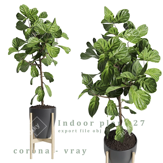 27" Indoor Plant: 3Dmax Vray & Corona Export 3D model image 1