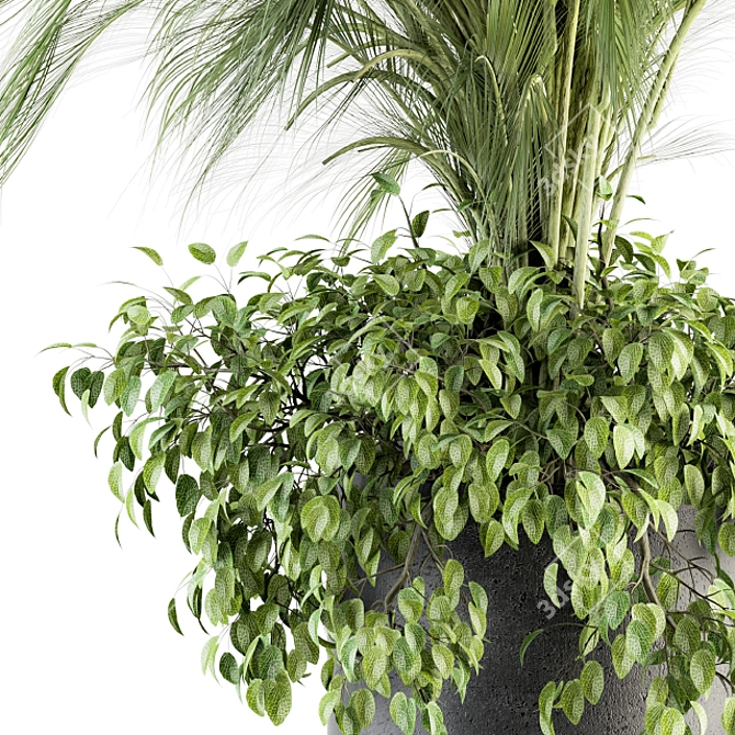 Exotic Palm: Perfect Indoor Plant 3D model image 1