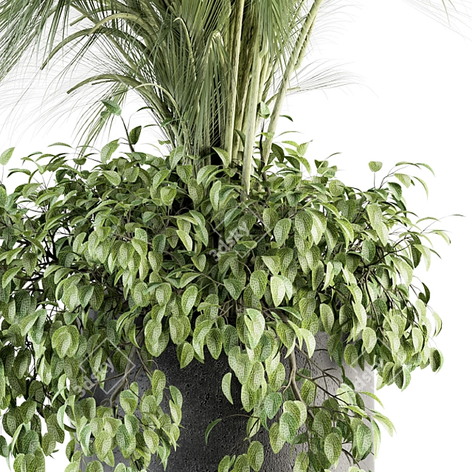 Exotic Palm: Perfect Indoor Plant 3D model image 2