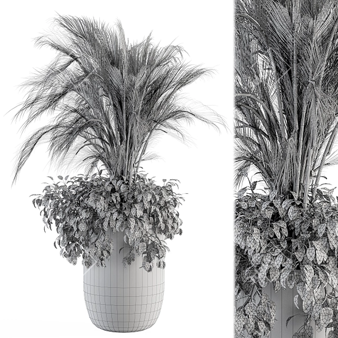 Exotic Palm: Perfect Indoor Plant 3D model image 4