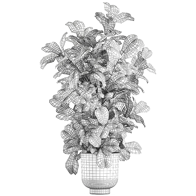 Tropical Plant Collection: Exotic Ficus Lyrata in Grey Vig Planters 3D model image 5