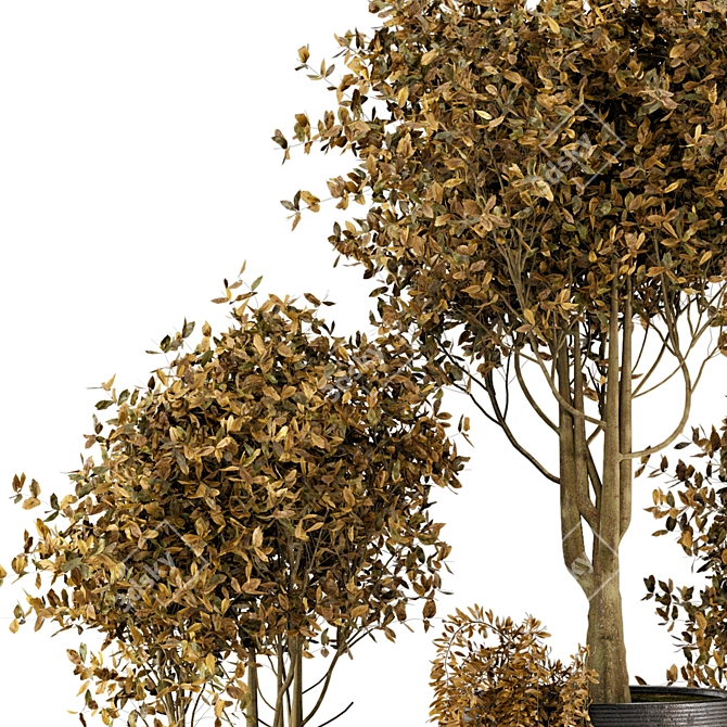 Rustic Outdoor Plant Bush & Tree Set 3D model image 3