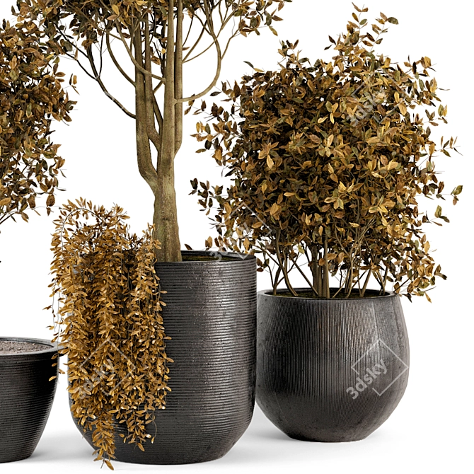 Rustic Outdoor Plant Bush & Tree Set 3D model image 4