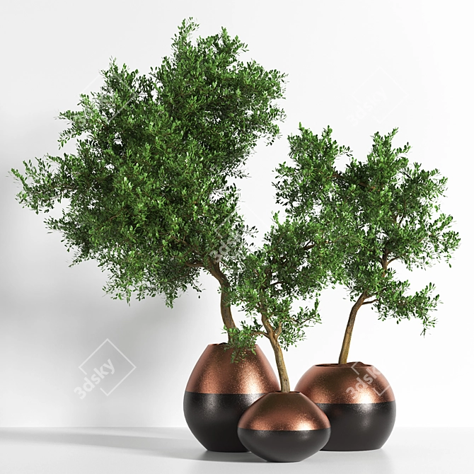 Versatile Outdoor Plant: 2015 Edition 3D model image 1