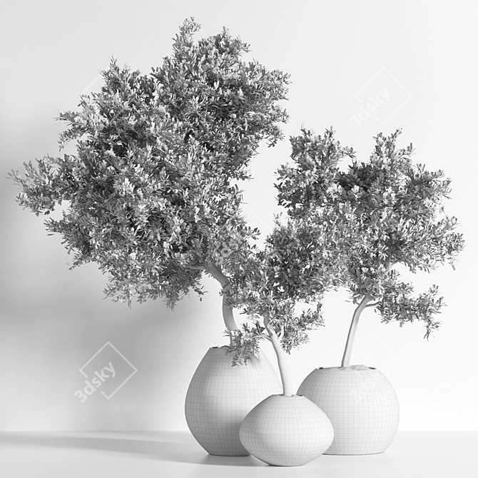 Versatile Outdoor Plant: 2015 Edition 3D model image 4