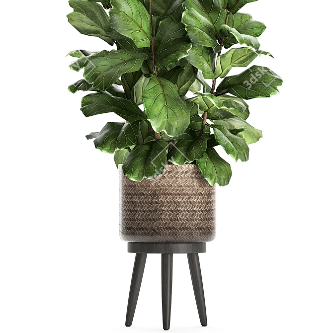 Tropical Plant Collection in Rattan Basket 3D model image 2