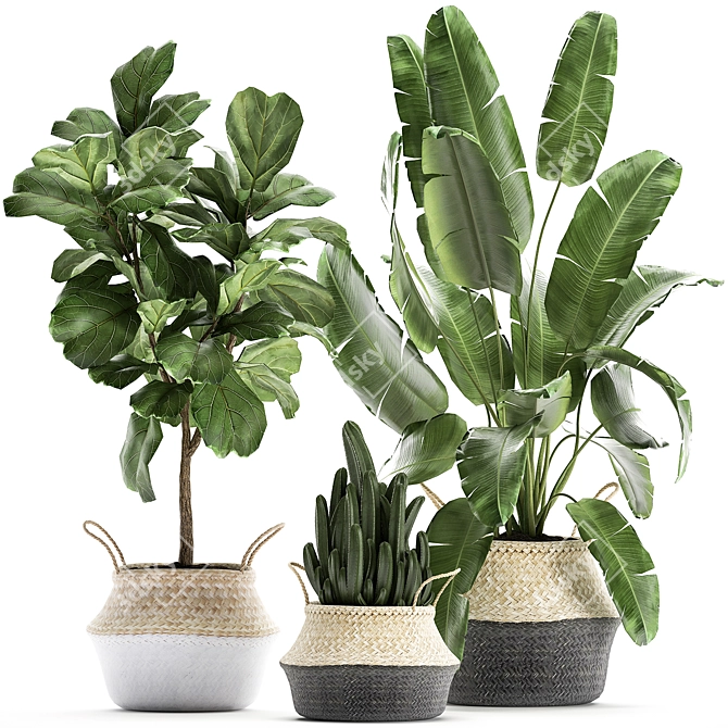 Tropical Plant Basket: Ficus, Banana Palm, Ravenala & More 3D model image 1