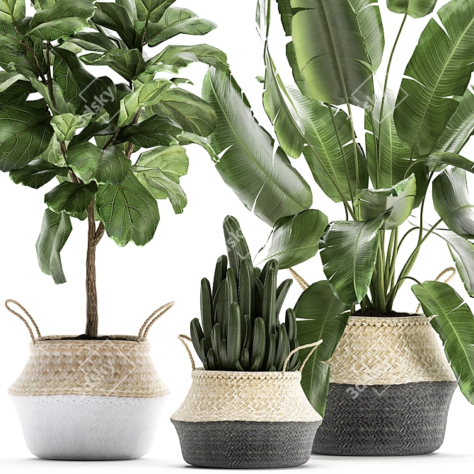 Tropical Plant Basket: Ficus, Banana Palm, Ravenala & More 3D model image 2
