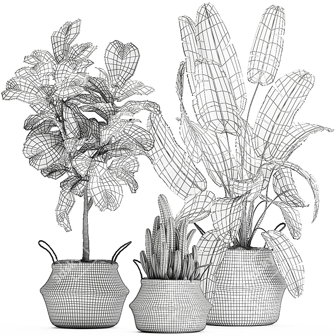 Tropical Plant Basket: Ficus, Banana Palm, Ravenala & More 3D model image 5