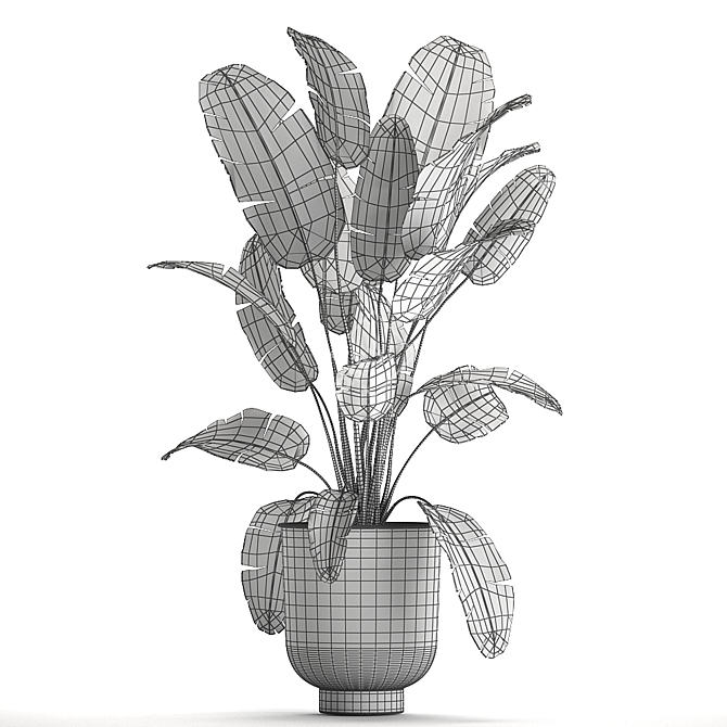 Exotic Plant Collection | Tropical & Indoor Plants 3D model image 5