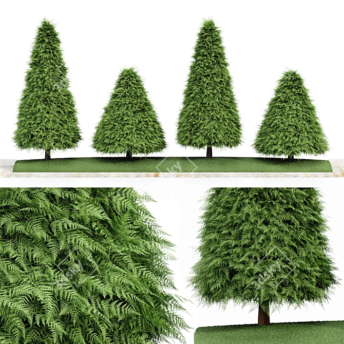 Cone Green Buxus Trees: 3D Models 3D model image 1