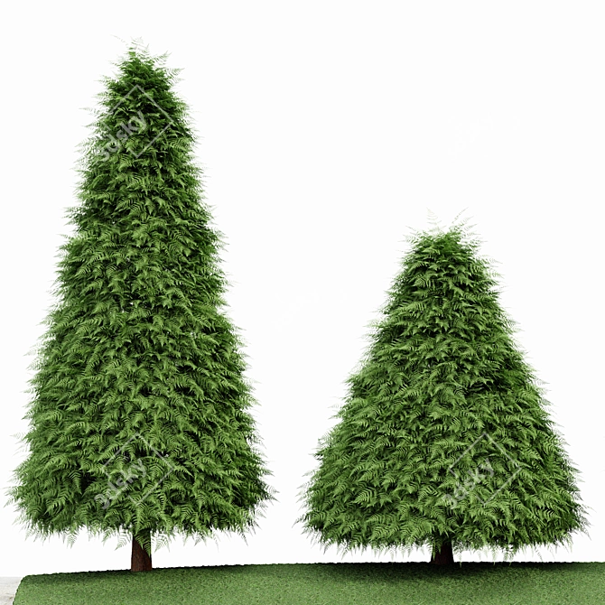 Cone Green Buxus Trees: 3D Models 3D model image 2