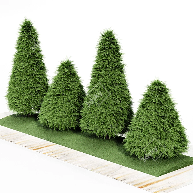 Cone Green Buxus Trees: 3D Models 3D model image 4