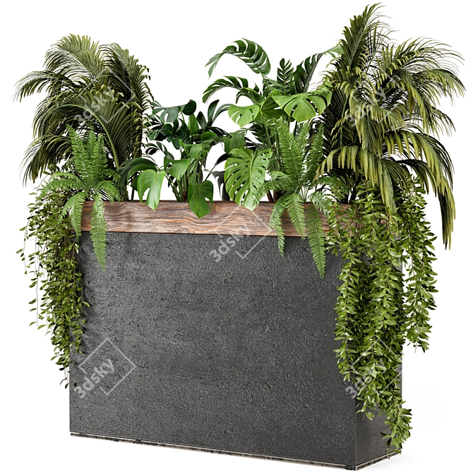 Wood & Concrete Indoor Plant Set 3D model image 1