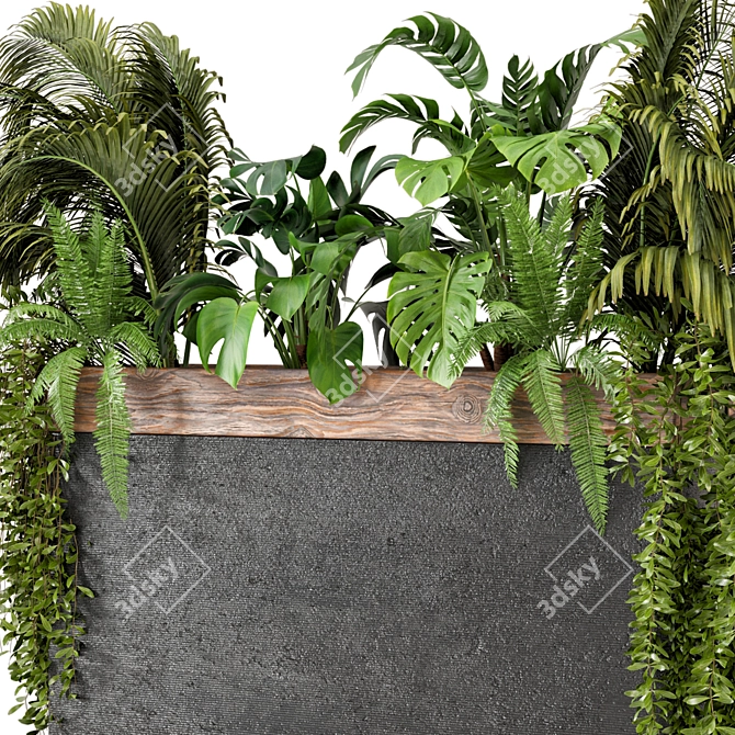 Wood & Concrete Indoor Plant Set 3D model image 3