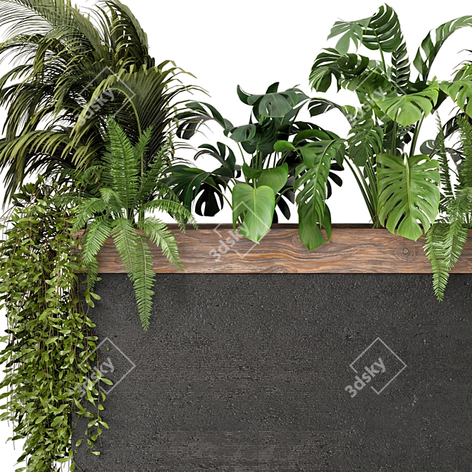 Wood & Concrete Indoor Plant Set 3D model image 4