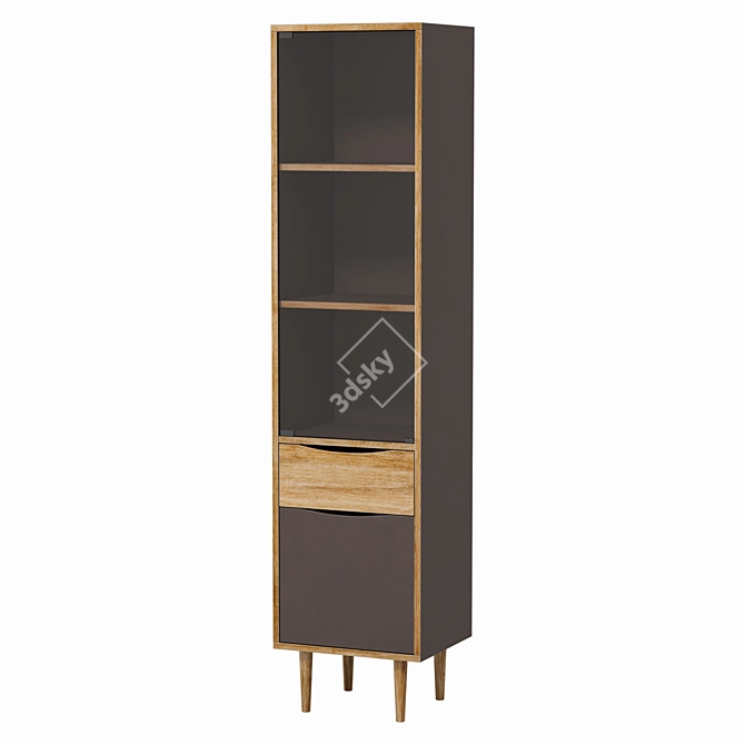 Elegant Single-Door Showcase Cabinet 3D model image 3