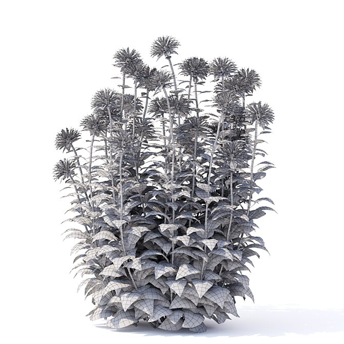 Monarda Didyma Flowers: Variety of Sizes & Textures 3D model image 4