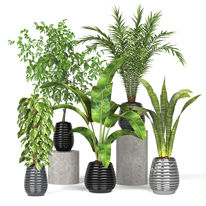 Green Oasis: Assorted Plant Collection 3D model image 2