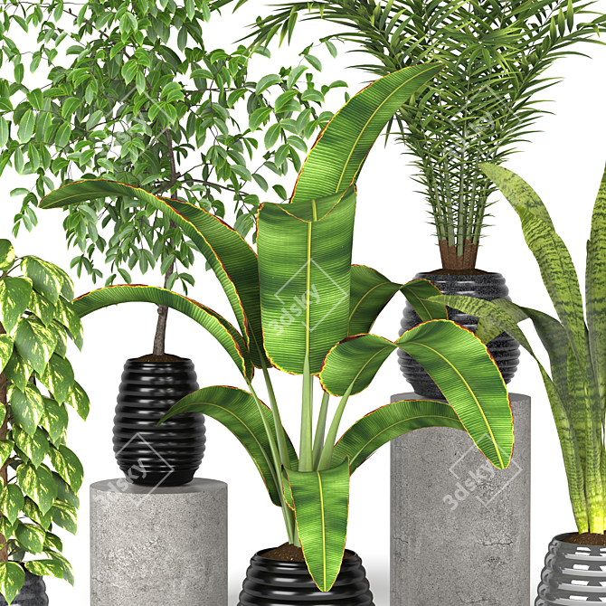 Green Oasis: Assorted Plant Collection 3D model image 3