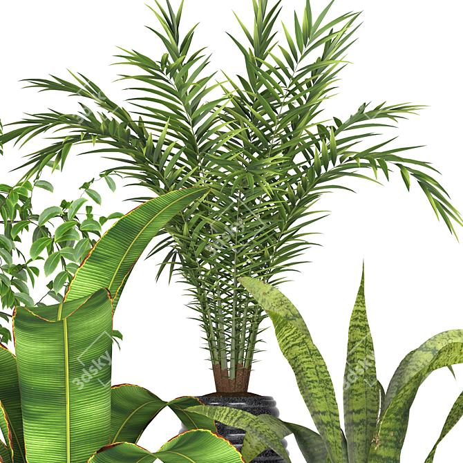 Green Oasis: Assorted Plant Collection 3D model image 5