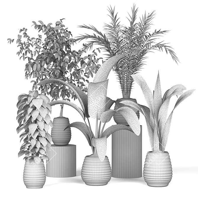 Green Oasis: Assorted Plant Collection 3D model image 1
