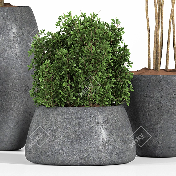 Outdoor Plant One: 2015-3D Max Model 3D model image 2