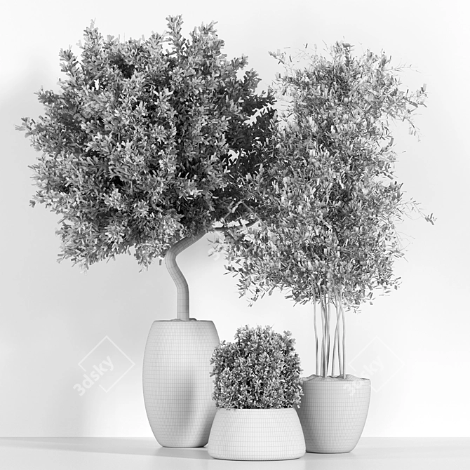 Outdoor Plant One: 2015-3D Max Model 3D model image 5