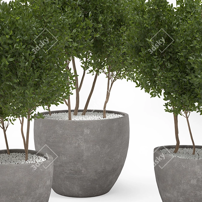 Concrete Pot Outdoor Tree 3D model image 2