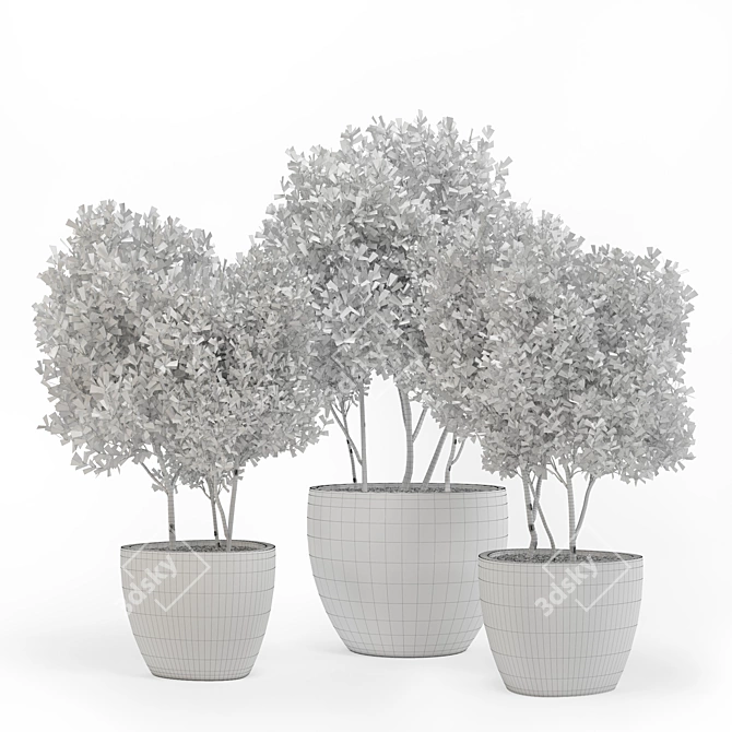 Concrete Pot Outdoor Tree 3D model image 3