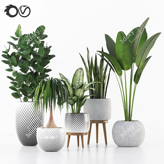 Indoor Plant Collection for Interior Design 3D model image 1