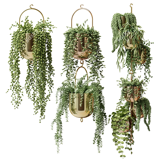 Gilded Hanging Ampel Plants 3D model image 1