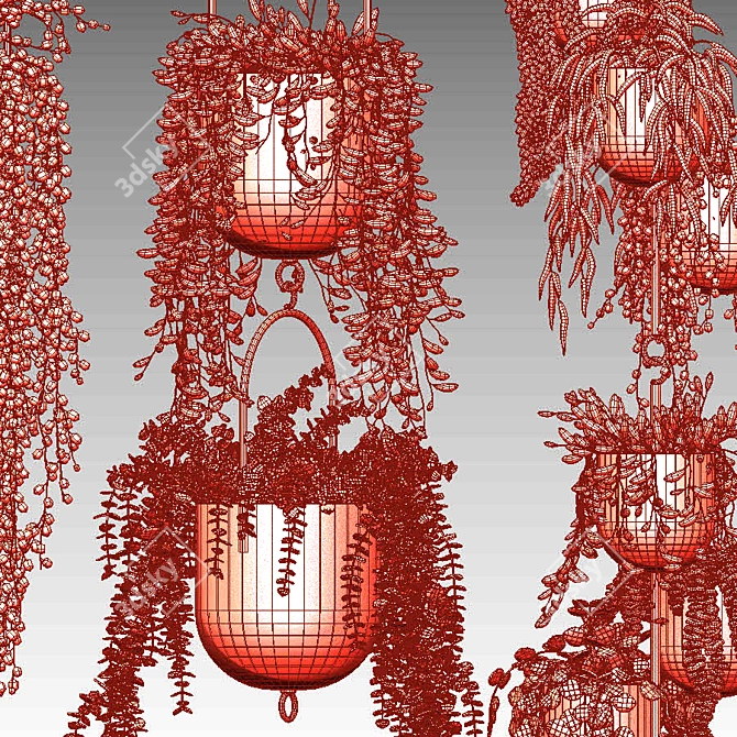 Gilded Hanging Ampel Plants 3D model image 2