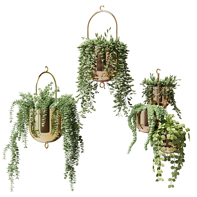 Gilded Hanging Ampel Plants 3D model image 3