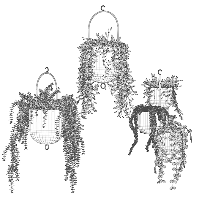 Gilded Hanging Ampel Plants 3D model image 4