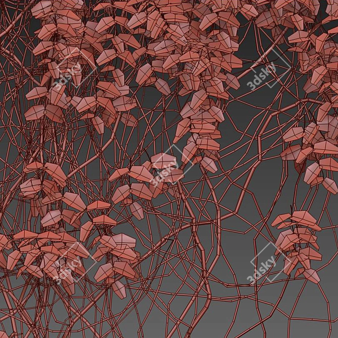 Elegant Vine Plant - 3m Height 3D model image 5