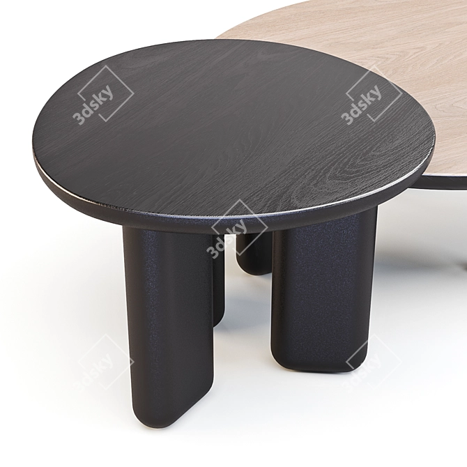 Liu Jo Caillou: Round Wood Coffee Tables 3D model image 4