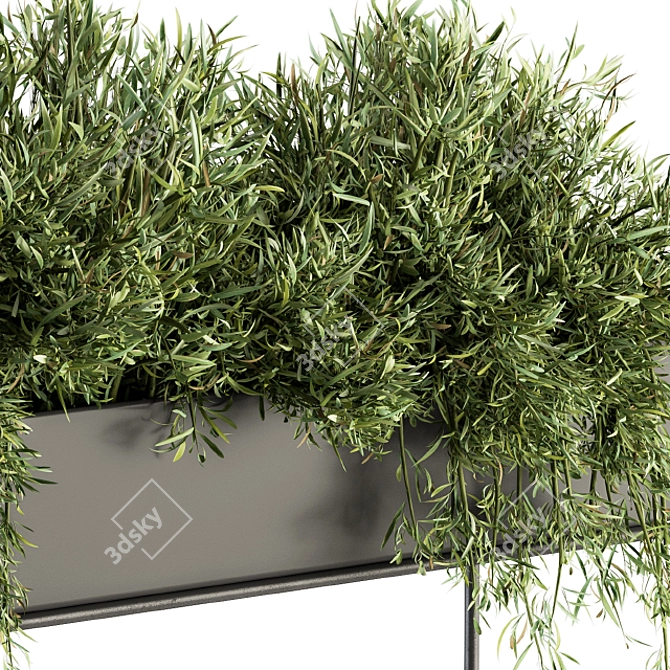 Stylish Indoor Plant Set 3D model image 2