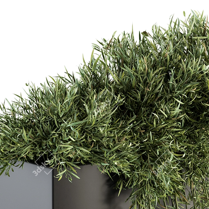 Stylish Indoor Plant Set 3D model image 3