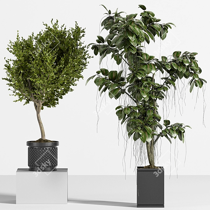 Ultimate Indoor Plant Set 3D model image 2