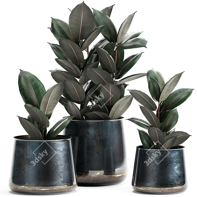 Tropical Plant Collection: Ficus Abidjan in Artizan Iron Pot 3D model image 1