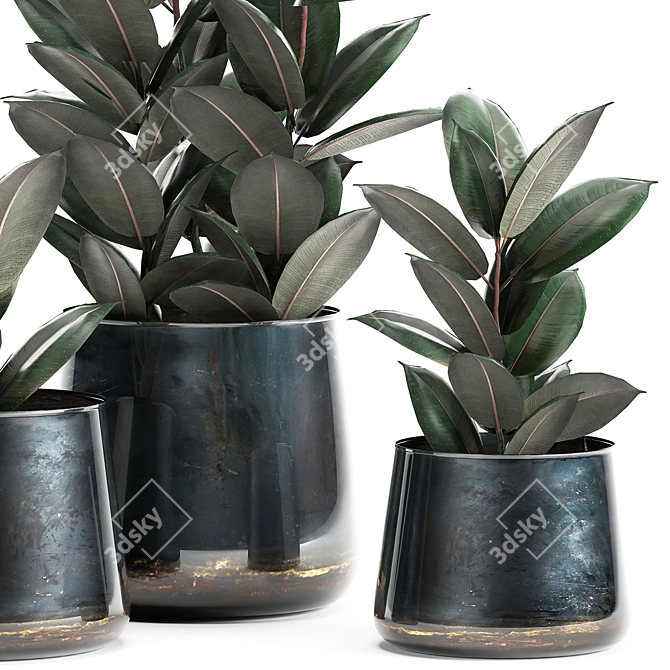 Tropical Plant Collection: Ficus Abidjan in Artizan Iron Pot 3D model image 2