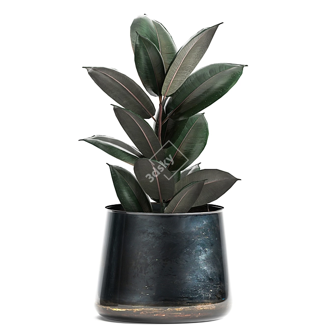 Tropical Plant Collection: Ficus Abidjan in Artizan Iron Pot 3D model image 4