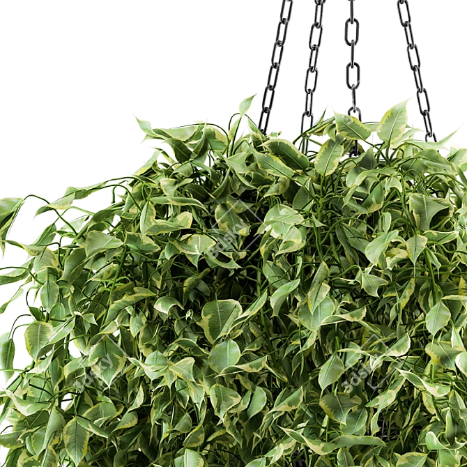 Green Haven: Indoor Hanging Plant Set 3D model image 2