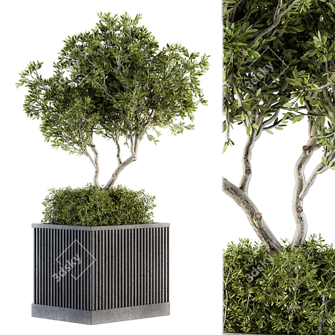 Nature's Oasis: Outdoor Tree Set 3D model image 1