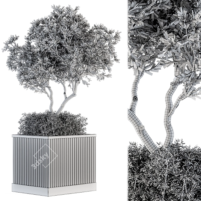 Nature's Oasis: Outdoor Tree Set 3D model image 5