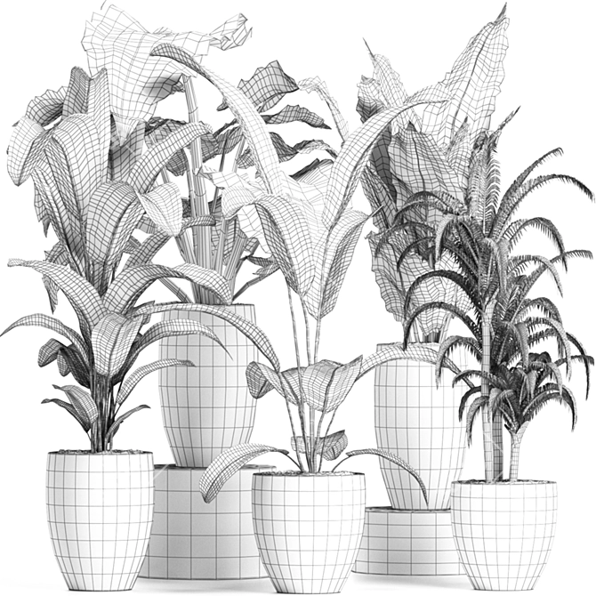 Tropical Plant Trio: Banana, Palm, Alocasia 3D model image 5