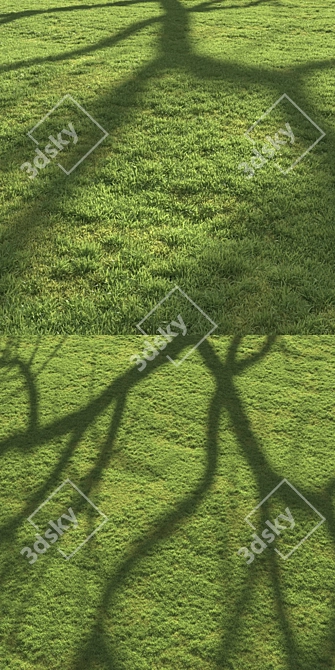 Scattered Grass Board - 14 Patterns 3D model image 2