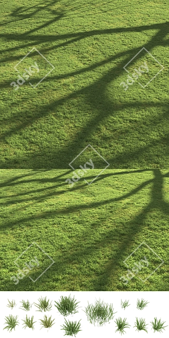 Scattered Grass Board - 14 Patterns 3D model image 9