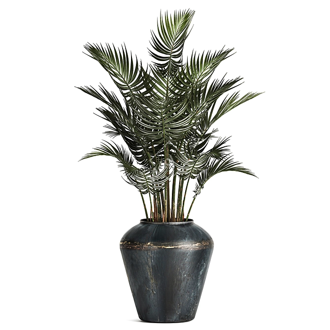 Tropical Plant Collection: Olive, Hovewa Palm, Metal Pot 3D model image 2